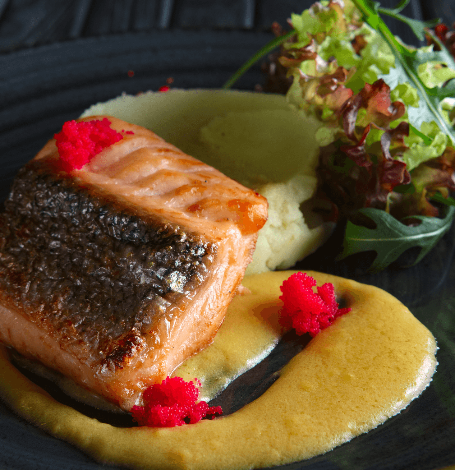 Perfect Wine Pairings for Every Delicious Meal